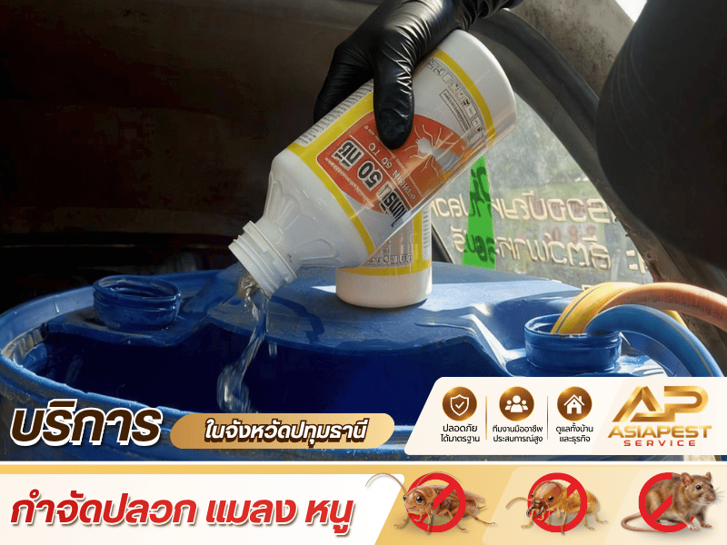 กำจัดปลวกในปทุมธานี