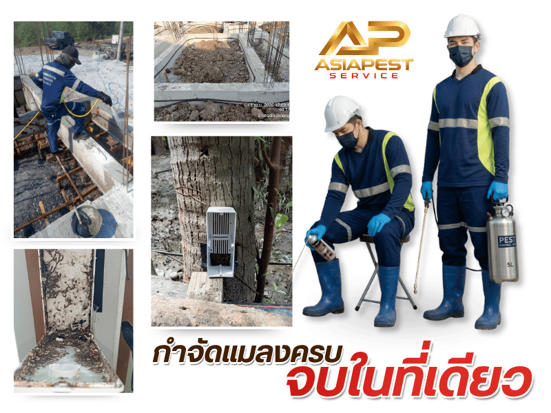 กำจัดปลวก ปทุมธานี