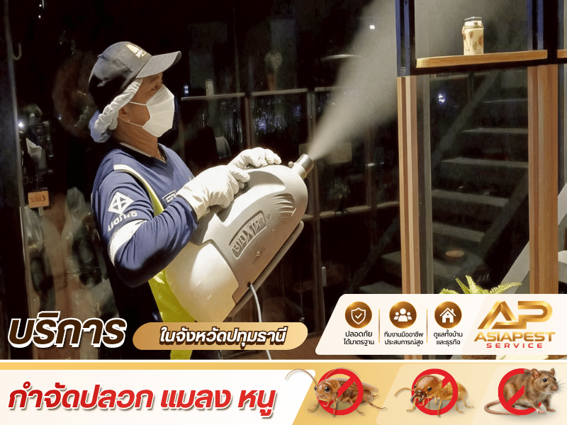 Pest Control สำหรับบ้าน โรงงาน ร้านอาหาร และสถานประกอบการ Pest Control สำหรับบ้าน โรงงาน ร้านอาหาร และสถานประกอบการ
